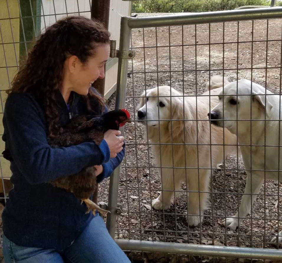 Cody canine host at the Dog and Pony Ranch