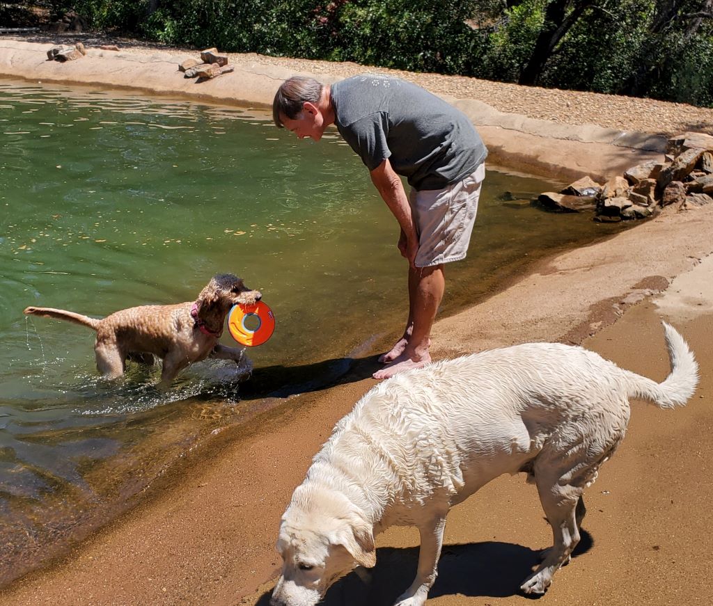 Cody and Gina canine hosts at the Dog and Pony Ranch