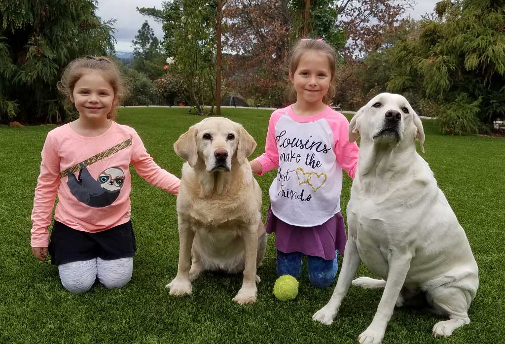 Cody canine host at the Dog and Pony Ranch