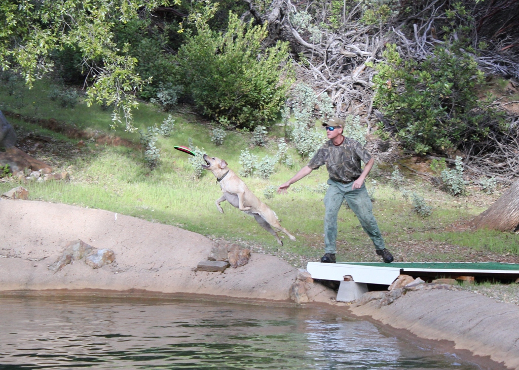 Dock diving into private pond at Dog & Pony Ranch