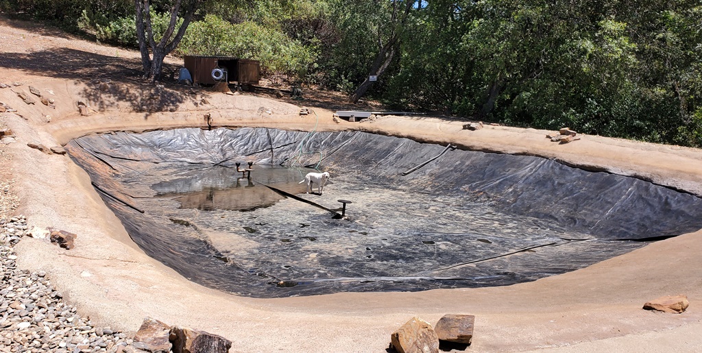 Pond with liner and equipment
