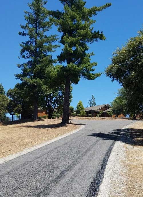 Dog Pony Ranch driveway