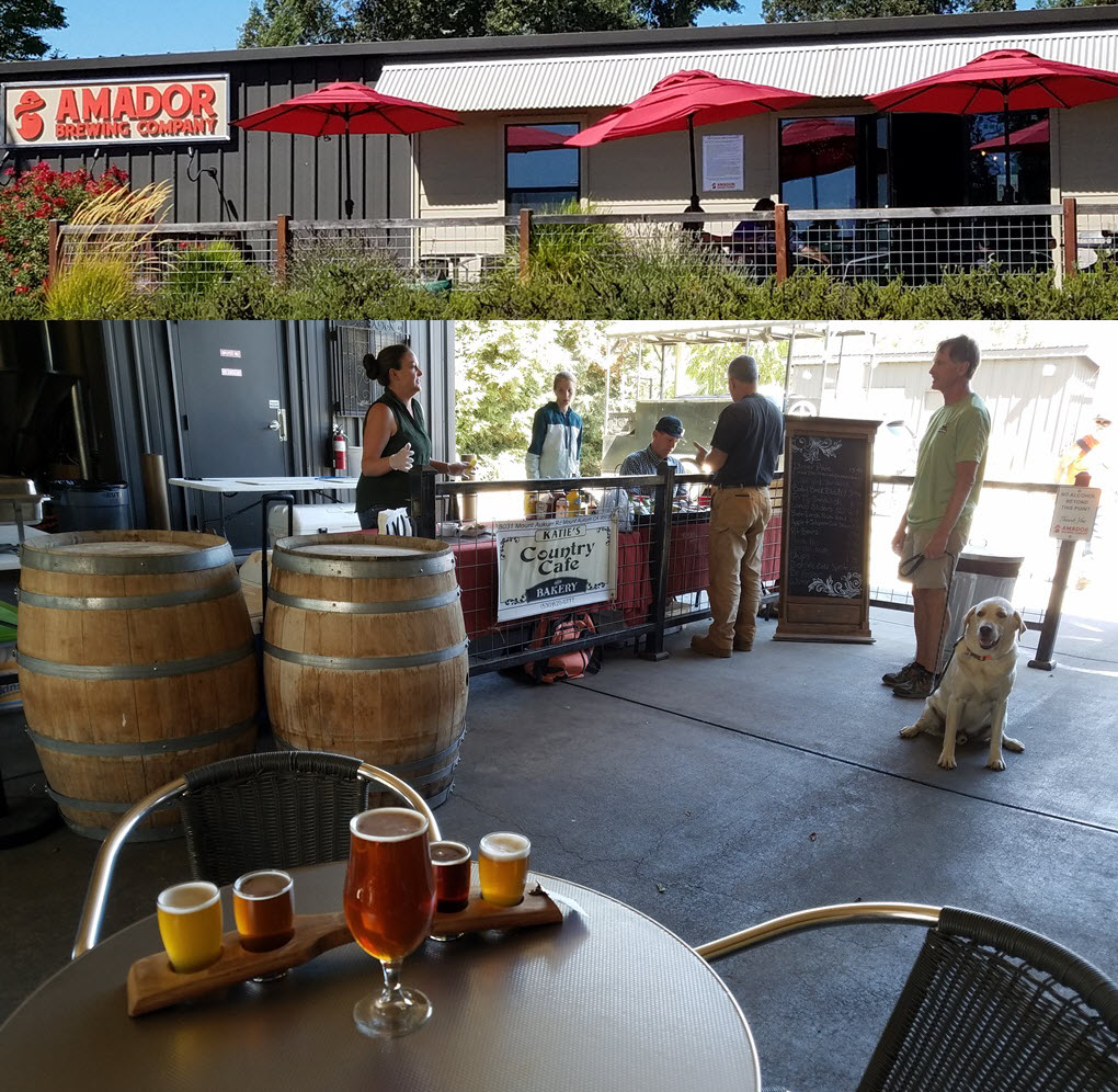 Dog-friendly patio dining in Amador County Gold Country