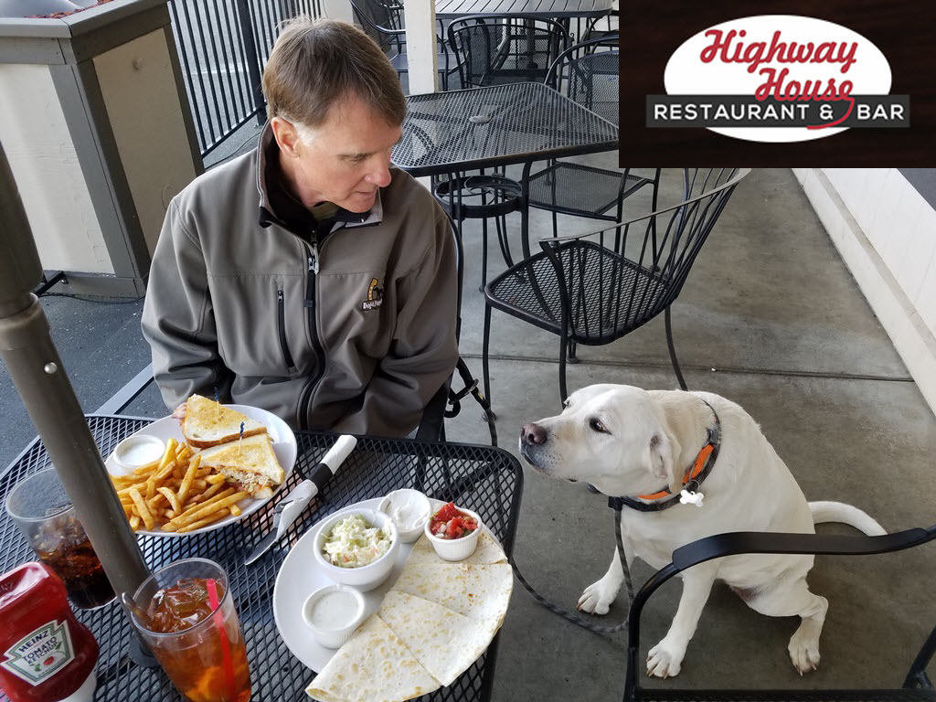 Dog-friendly patio dining in Jackson, California