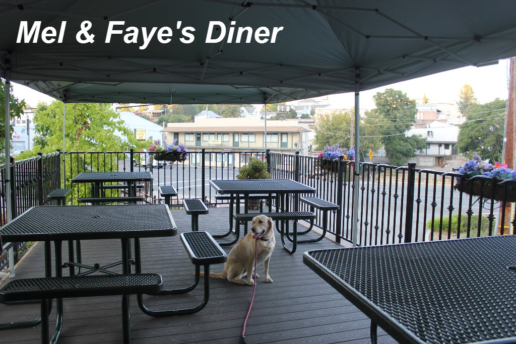 Dog-friendly patio dining in Jackson, California