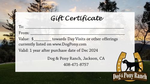 Ranch gift certificate
