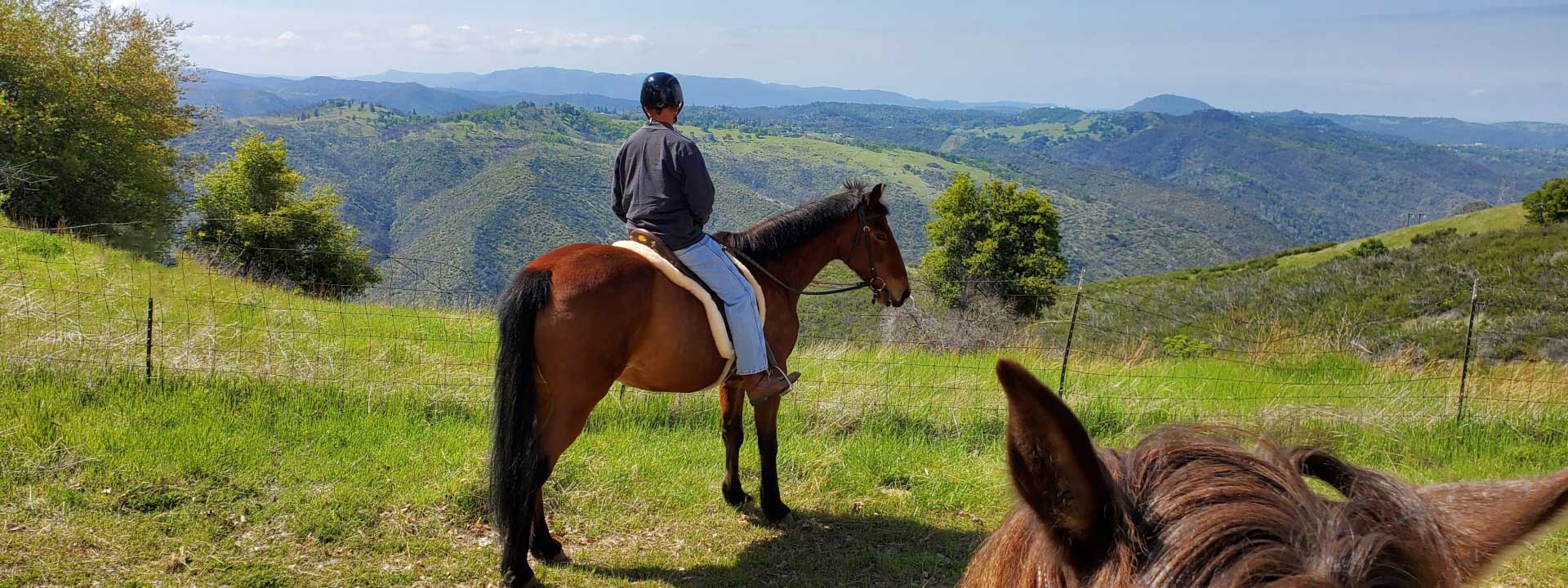 header photo of Dog and Pony Ranch