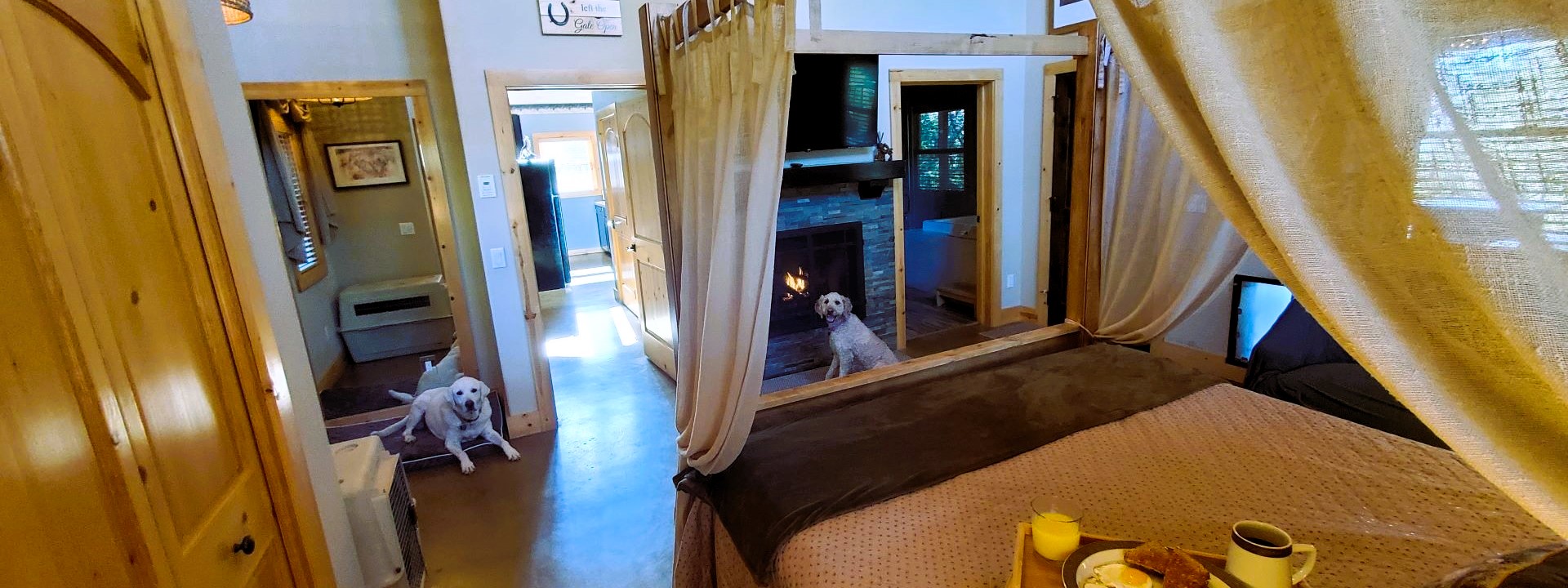 header photo of Dog and Pony Ranch