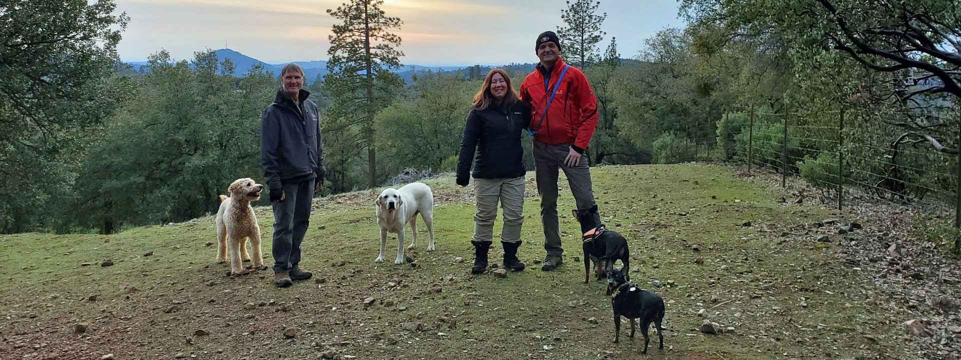 header photo of Dog and Pony Ranch