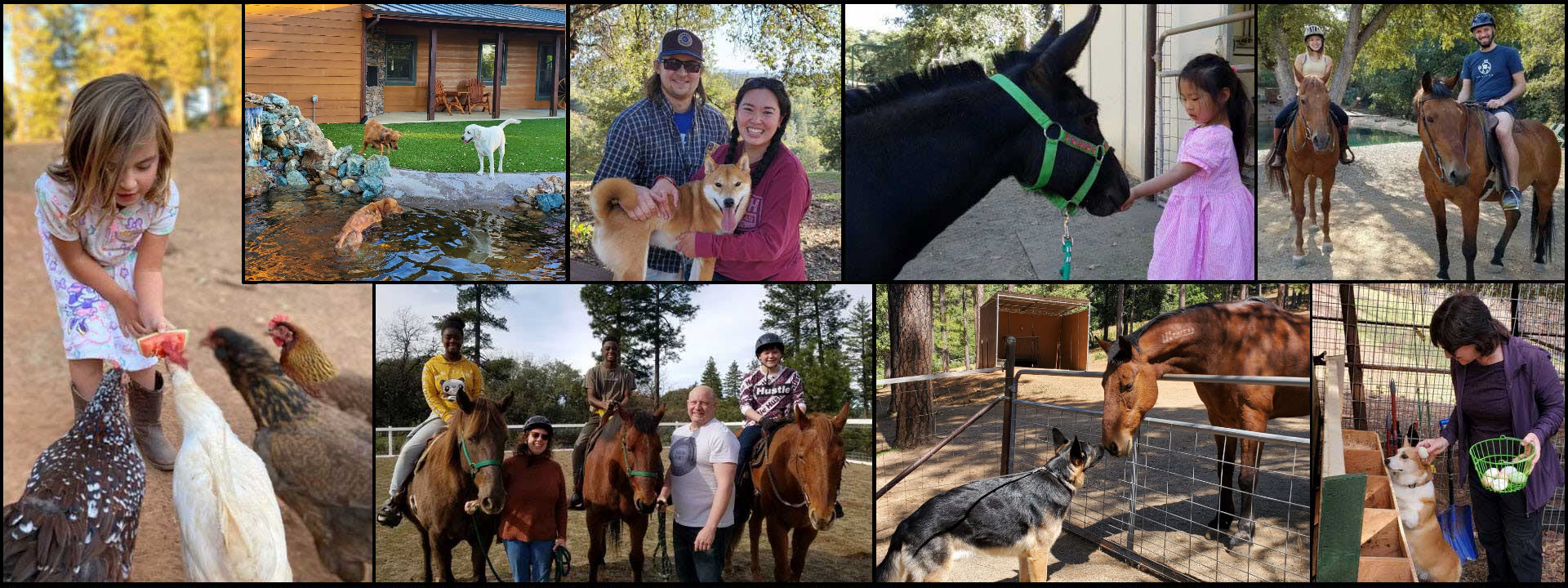 header photo of Dog and Pony Ranch