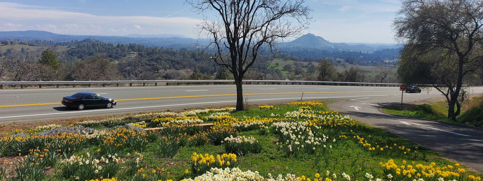 header photo of Dog and Pony Ranch