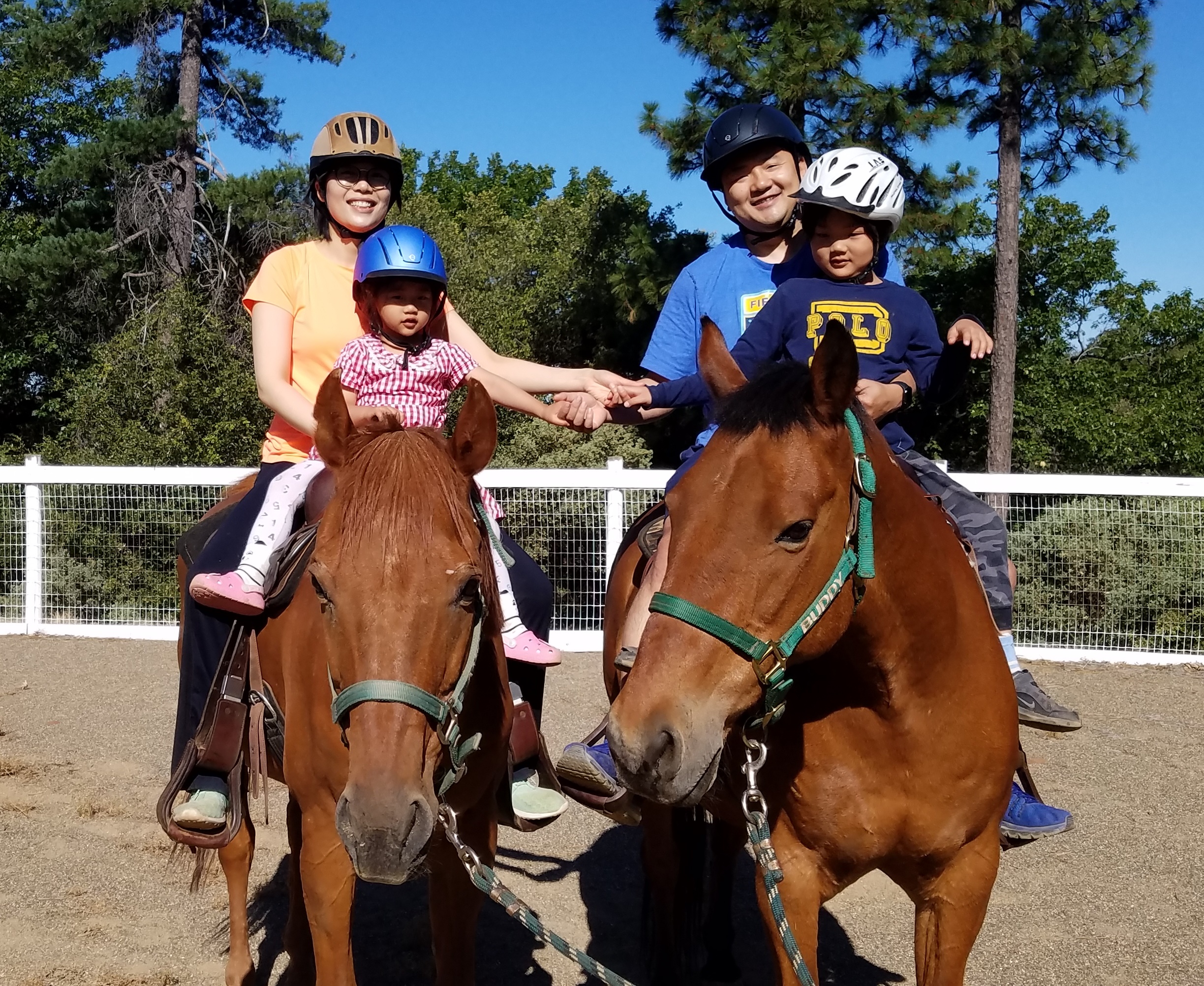 Enjoying the horses at the Dog & Pony Ranch
